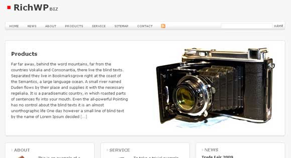 Biz WordPress Theme Biz WordPress Theme