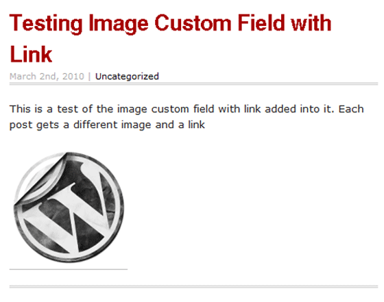 Custom Fields in Action - This Example Custom Fields in Action