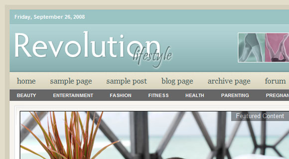 Revolution Lifestyle Wordpress Theme Revolution Lifestyle ( Click Image for a Live Demo )