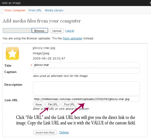 The LINK URL is the VALUE for the Custom Field The LINK URL is the VALUE for the Custom Field