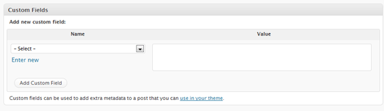 WordPress Custom Fields Input Box WordPress Custom Fields Input Box
